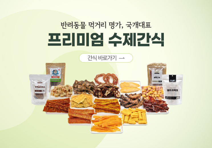 B2B 메인_ 프리미엄 수제간식