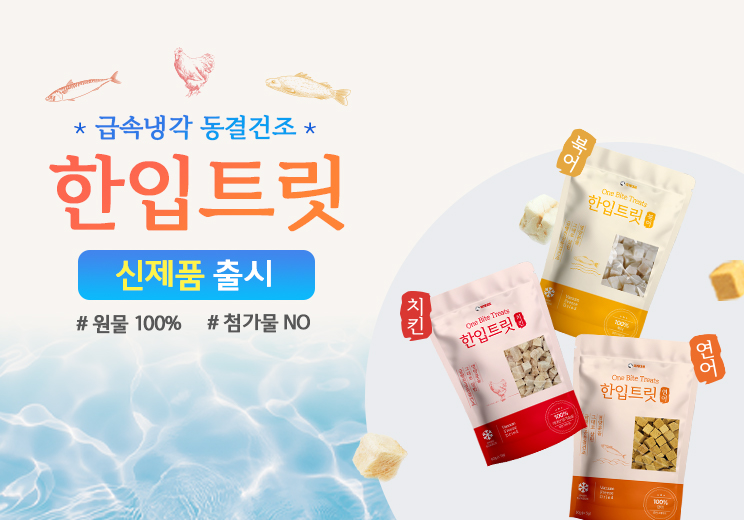 신제품 한입트릿 출시 배너