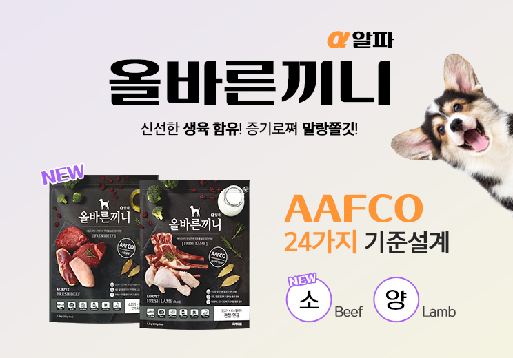 올바른끼니 알파 출시